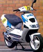 Special paint Polini